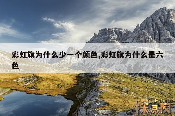 彩虹旗为什么少一个颜色,彩虹旗为什么是六色