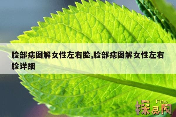 脸部痣图解女性左右脸,脸部痣图解女性左右脸详细