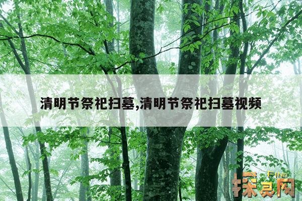 清明节祭祀扫墓,清明节祭祀扫墓视频