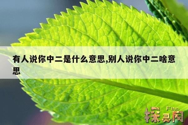 有人说你中二是什么意思,别人说你中二啥意思
