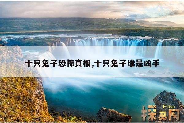 十只兔子恐怖真相,十只兔子谁是凶手