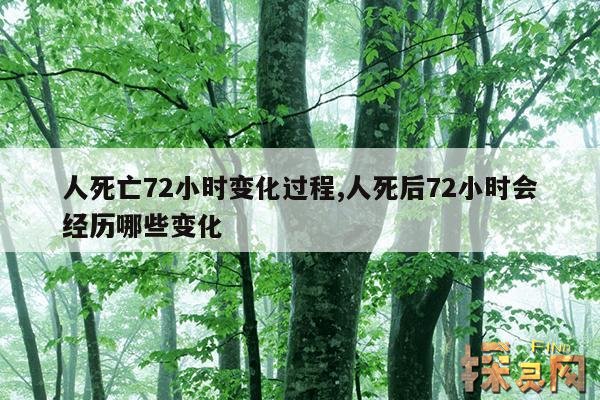 人死亡72小时变化过程,人死后72小时会经历哪些变化