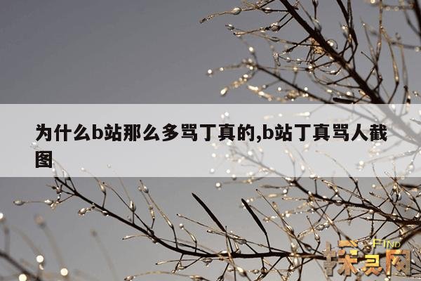 为什么b站那么多骂丁真的,b站丁真骂人截图