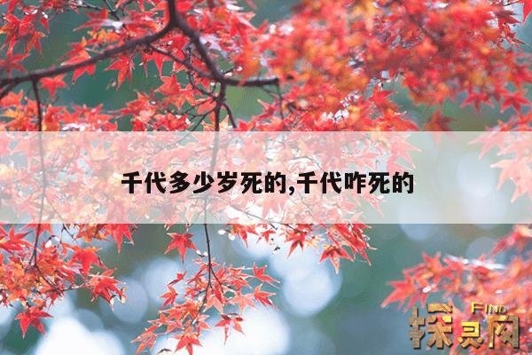 千代多少岁死的,千代咋死的