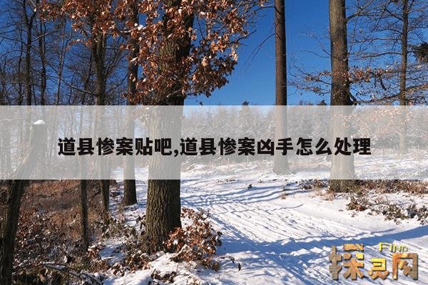 道县惨案贴吧,道县惨案凶手怎么处理