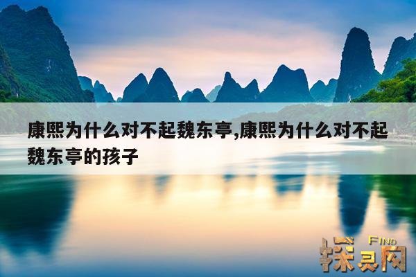 康熙为什么对不起魏东亭,康熙为什么对不起魏东亭的孩子