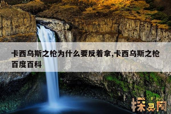 卡西乌斯之枪为什么要反着拿,卡西乌斯之枪百度百科