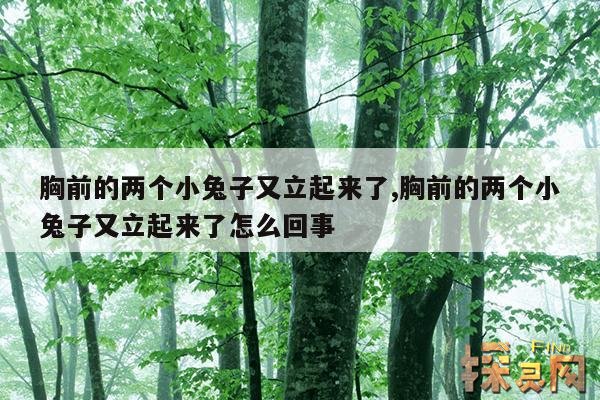 胸前的两个小兔子又立起来了,胸前的两个小兔子又立起来了怎么回事