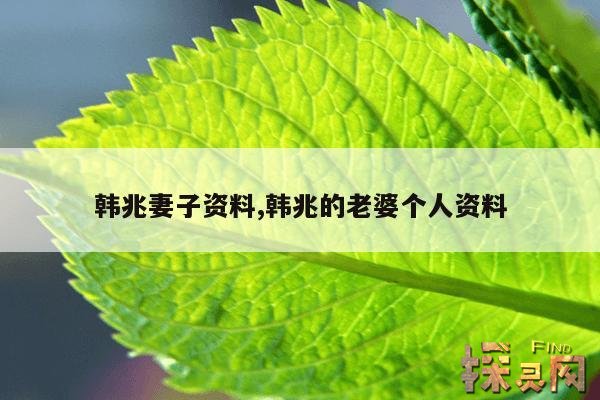 韩兆妻子资料,韩兆的老婆个人资料