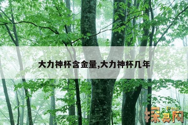大力神杯含金量,大力神杯几年
