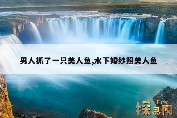 男人抓了一只美人鱼,水下婚纱照美人鱼