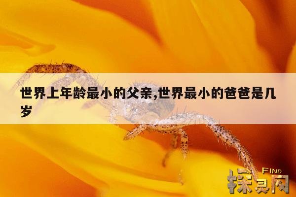 世界上年龄最小的父亲,世界最小的爸爸是几岁