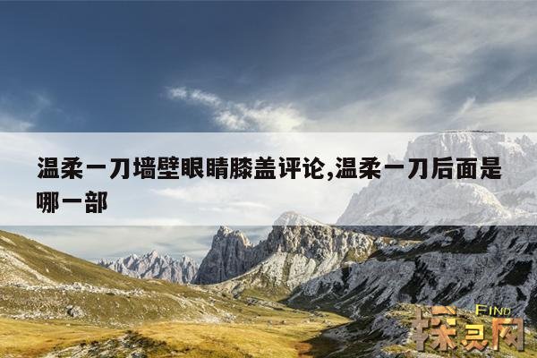 温柔一刀墙壁眼睛膝盖评论,温柔一刀后面是哪一部