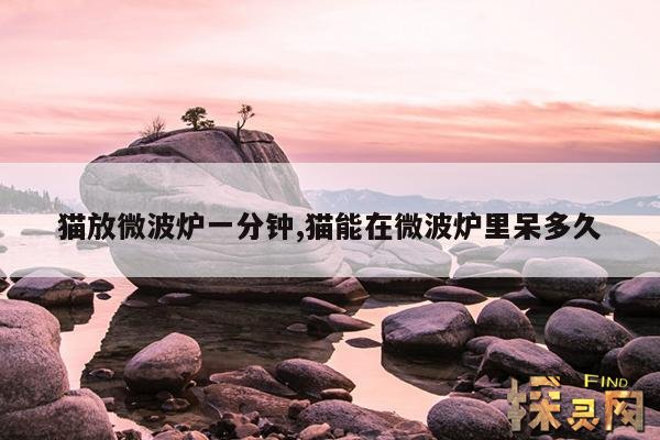 猫放微波炉一分钟,猫能在微波炉里呆多久