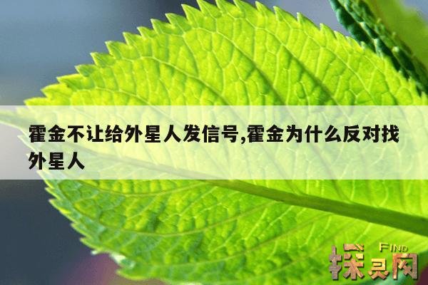 霍金不让给外星人发信号,霍金为什么反对找外星人