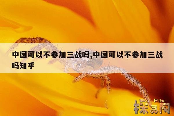 中国可以不参加三战吗,中国可以不参加三战吗知乎