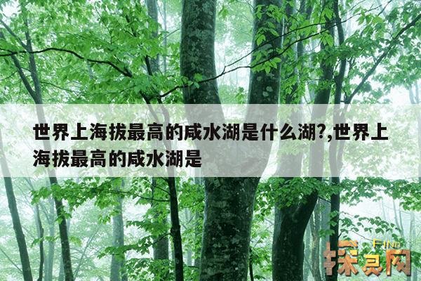 世界上海拔最高的咸水湖是什么湖?,世界上海拔最高的咸水湖是