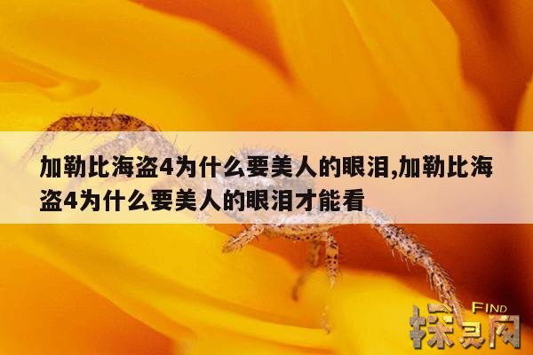 加勒比海盗4为什么要美人的眼泪,加勒比海盗4为什么要美人的眼泪才能看