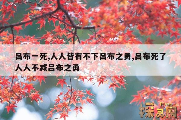 吕布一死,人人皆有不下吕布之勇,吕布死了人人不减吕布之勇