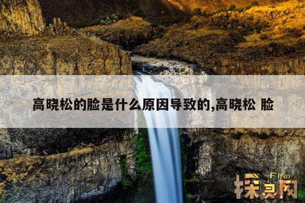 高晓松的脸是什么原因导致的,高晓松 脸