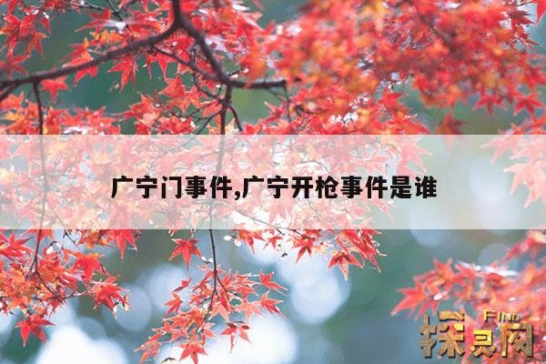 广宁门事件,广宁开枪事件是谁