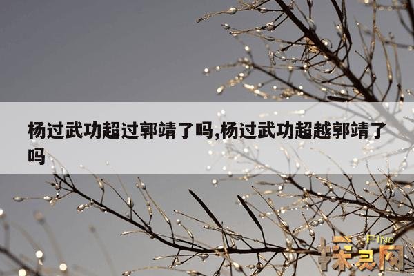 杨过武功超过郭靖了吗,杨过武功超越郭靖了吗