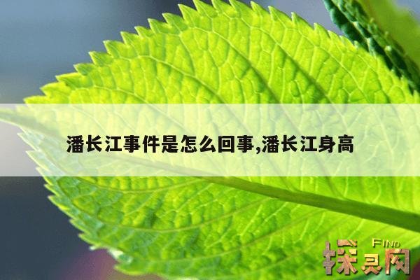 潘长江事件是怎么回事,潘长江身高