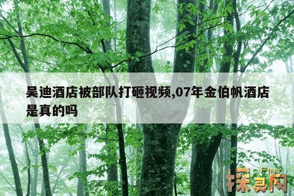 吴迪酒店被部队打砸视频,07年金伯帆酒店是真的吗