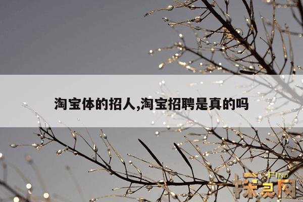 淘宝体的招人,淘宝招聘是真的吗