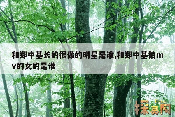 和郑中基长的很像的明星是谁,和郑中基拍mv的女的是谁