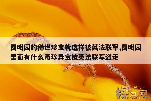 圆明园的稀世珍宝就这样被英法联军,圆明园里面有什么奇珍异宝被英法联军盗走