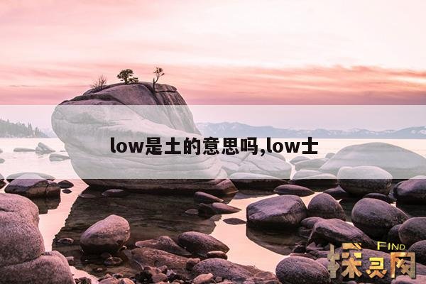 low是土的意思吗,low士