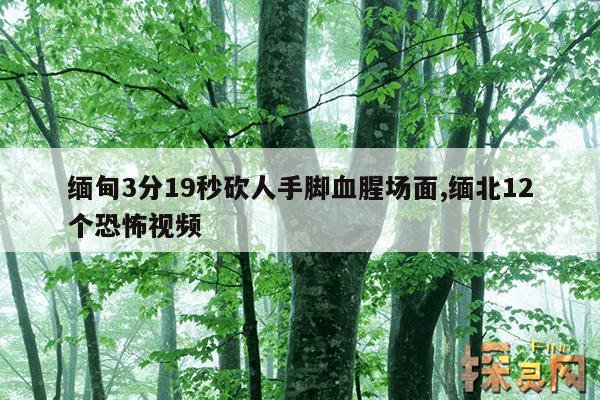缅甸3分19秒砍人手脚血腥场面,缅北12个恐怖视频