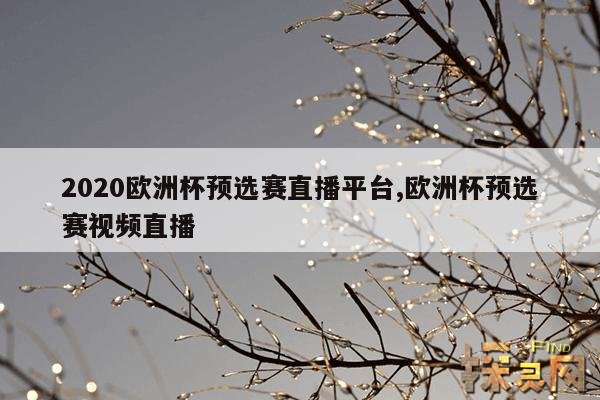 2020欧洲杯预选赛直播平台,欧洲杯预选赛视频直播