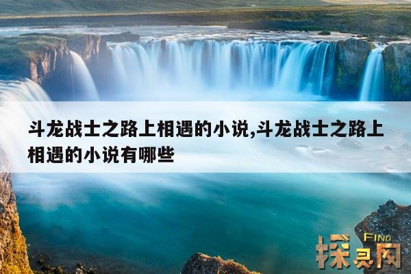 斗龙战士之路上相遇的小说,斗龙战士之路上相遇的小说有哪些