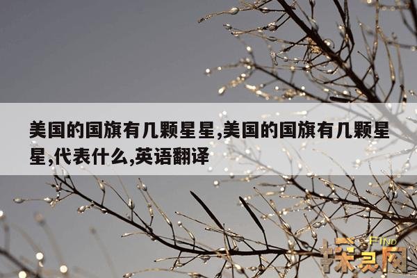 美国的国旗有几颗星星,美国的国旗有几颗星星,代表什么,英语翻译
