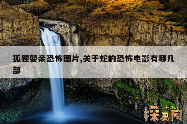 狐狸娶亲恐怖图片,关于蛇的恐怖电影有哪几部