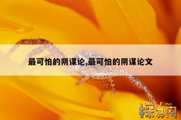 最可怕的阴谋论,最可怕的阴谋论文
