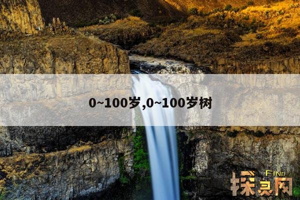 0~100岁,0~100岁树