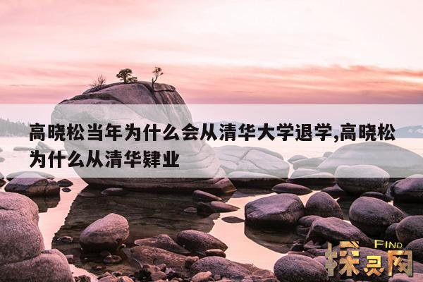 高晓松当年为什么会从清华大学退学,高晓松为什么从清华肄业