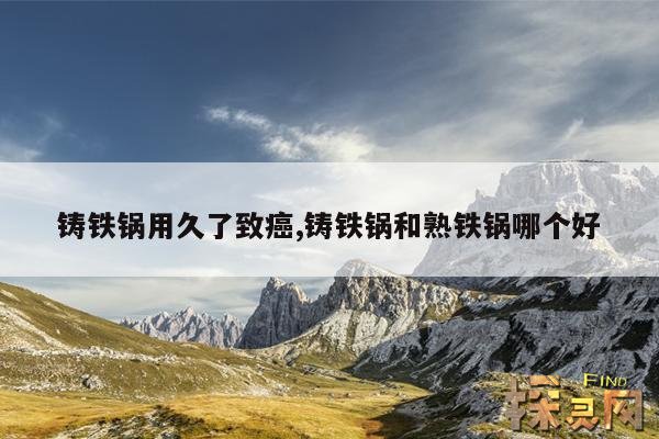 铸铁锅用久了致癌,铸铁锅和熟铁锅哪个好