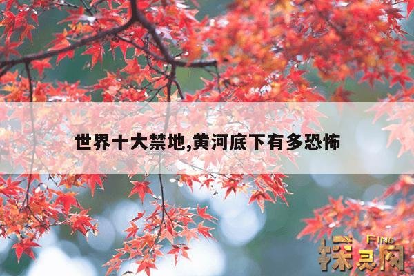 世界十大禁地,黄河底下有多恐怖