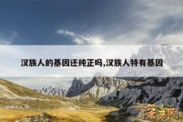 汉族人的基因还纯正吗,汉族人特有基因