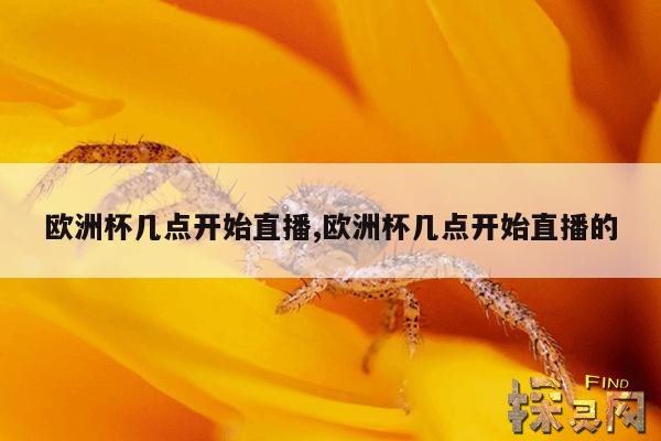 欧洲杯几点开始直播,欧洲杯几点开始直播的