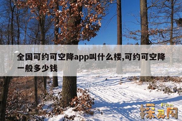 全国可约可空降app叫什么楼,可约可空降一般多少钱