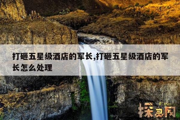 打砸五星级酒店的军长,打砸五星级酒店的军长怎么处理