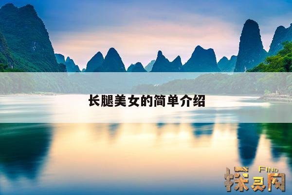 长腿美女的简单介绍