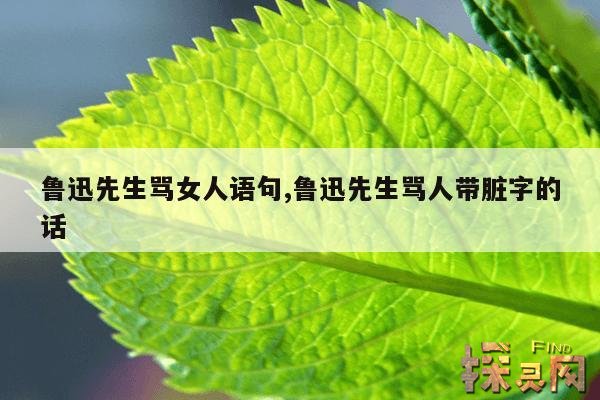 鲁迅先生骂女人语句,鲁迅先生骂人带脏字的话