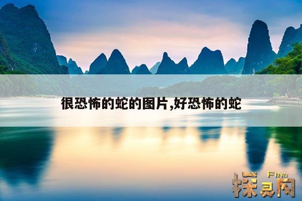 很恐怖的蛇的图片,好恐怖的蛇