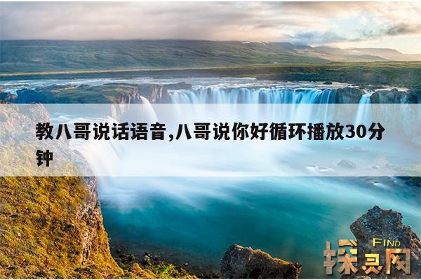 教八哥说话语音,八哥说你好循环播放30分钟